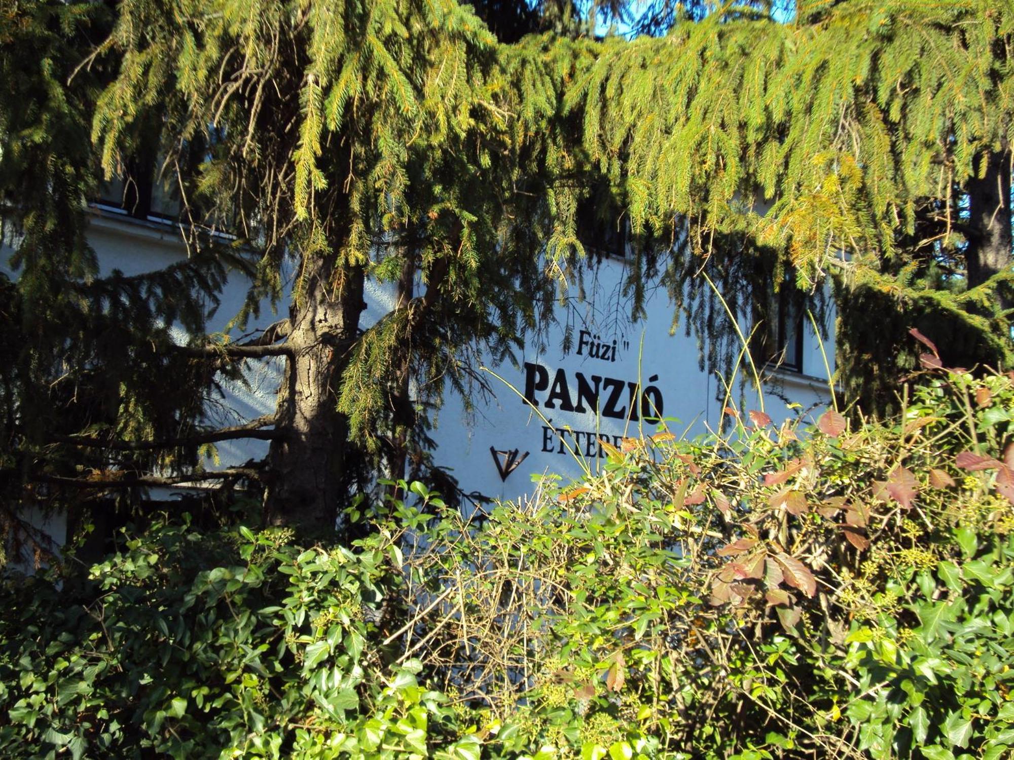 Fuezi Panzio Bed & Breakfast Шопрон Екстериор снимка